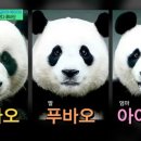 굿즈편의점