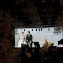 마리무드 | 마리무드 - 식전 식중영상 무빙포스터 본식 후기