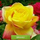 구월1동-17 이미지