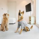 금배네 민박 이미지