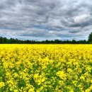 행정사 이상민 사무소 이미지