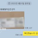동편동물혈액검진센터 이미지
