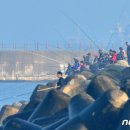 원양 낚시