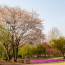 쾌청농장 이미지