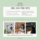 평곡 | [샌드아트 공연] 충북 샌드아트 공연으로 함께하는 진로 체험 전문!