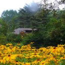 개울건너 펜션 이미지