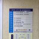 수원 인계동 헤어라인 왁싱 슈가슈가링왁싱 후기