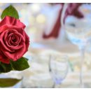 연은 결혼정보 이미지