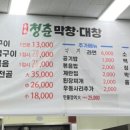 청춘막창대창 이미지