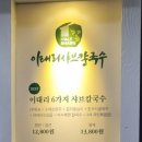 어진애견