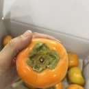 남밀양농협 초동지점 이미지