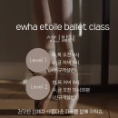 성인발레핏 이미지