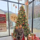 나만의세상 테라리움 만들기 | 슬픔을 넘어 빛으로, 나만의 크리스마스 테라리움 만들기 수업 후기