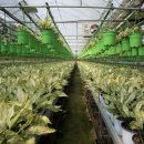 원당농장 이미지