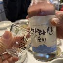 제주동쪽 성산일출봉 횟집추천 모듬회부터 매운탕까지 다맛있는 성산포 자연산 회센타