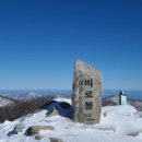 국립공원 오대산 노인봉에서 투구꽃을 만나다.