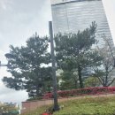 JW호텔 | 더 마고 그릴 런치 후기 JW 메리어트 호텔 서울 주차 팁