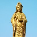 나무와 해(海) 이미지