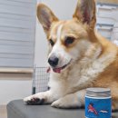 우프 앤 먀오 이미지