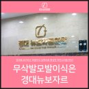 경대뉴보자르의원