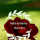 8월14일 뉴스브리핑 이미지