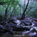 가리왕산 네이버블로그