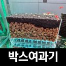 구피 | [저면 박스여과기 후기] 구피 탱크항 추천 여과기