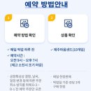 샌드베어 이미지
