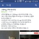 엑스지 이미지