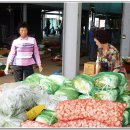 장터사람들 이미지