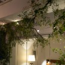 경은빌딩 | 서울 원규스튜디오 토탈 촬영 후기 - 올웨딩 수빈플래너