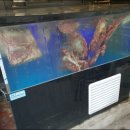 감동정육식당 이미지