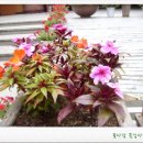 성심조경 이미지