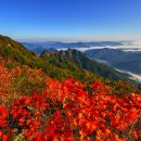 구봉산 이미지