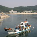 천리포항 이미지