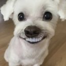 (주)쏘캔 | 플레이브 | 2025 PLAVE Asia Tour [DASH: Quantum Leap] Encore 앙콘 마지막 날 후기