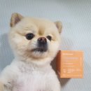 신진덴탈 이미지