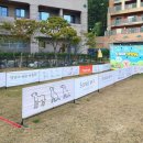 펫앤쿡 | 홍천 소노펫 플레이그라운드 띵킹독 카페 메뉴 부대시설 총정리