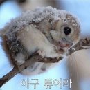 산호대로-18 이미지