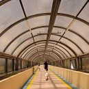 씨채널안경 롯데마트서대전점 | 6월 5일부터 6월 25일까지 역대급 6월 행사 롯데 레드 페스티벌 롯데마트 서대전점 :)