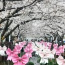 웅남로-1 이미지