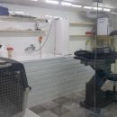 미독스 이미지