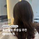 울산 달동 미용실 추천 헤어바이주 드림실장 빌드펌 후기