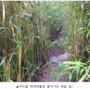 약수골