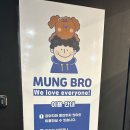 멍브로 이미지