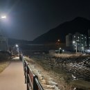 창원 대장천 일간뉴스경남