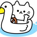 하우스오브주아킴 이미지