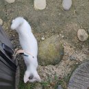 스테이예다움 네이버블로그