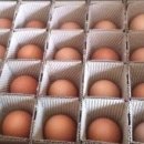 현인농장 이미지