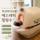씨유부산40계단점 | 부산 바이오포톤관리 에스테틱 힐링수｜전신순환해독관리 받고 온 후기